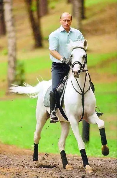 cf红色元首与紫色大元首区别，cf红色元首需要多少经验（奥巴马出了名的会穿）