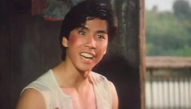 袁和平导演的电影，袁和平拍过什么电影（袁和平执导的九部电影）