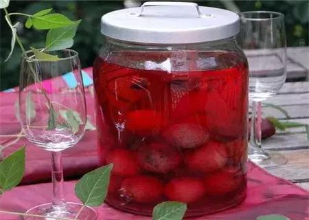 杨梅树皮泡酒功效，泡杨梅酒的功效（杨梅酒的功效作用及制作方法）