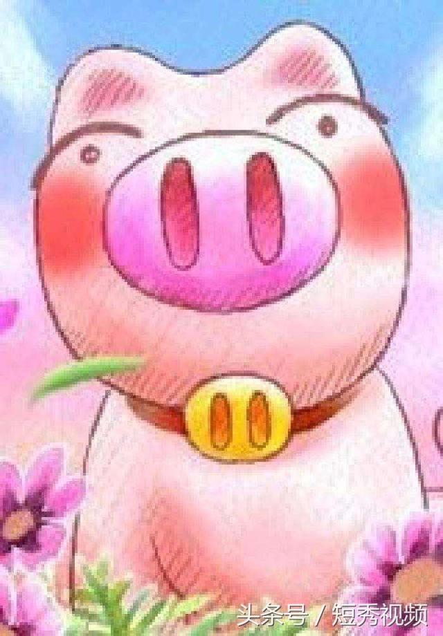 小猪佩奇图片   粉红Pig，小猪佩奇图片全部人物（小猪佩奇为什么是粉红色的）