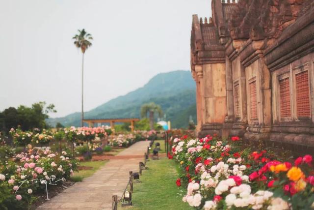 日语欢迎光临怎么说，日语餐厅服务员用语大全（日本的这个地方）