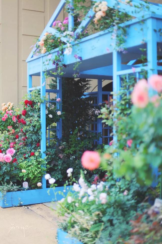 日语欢迎光临怎么说，日语餐厅服务员用语大全（日本的这个地方）