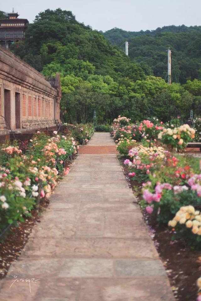 日语欢迎光临怎么说，日语餐厅服务员用语大全（日本的这个地方）