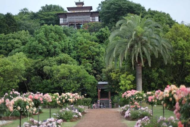 日语欢迎光临怎么说，日语餐厅服务员用语大全（日本的这个地方）