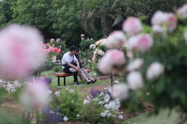 日语欢迎光临怎么说，日语餐厅服务员用语大全（日本的这个地方）