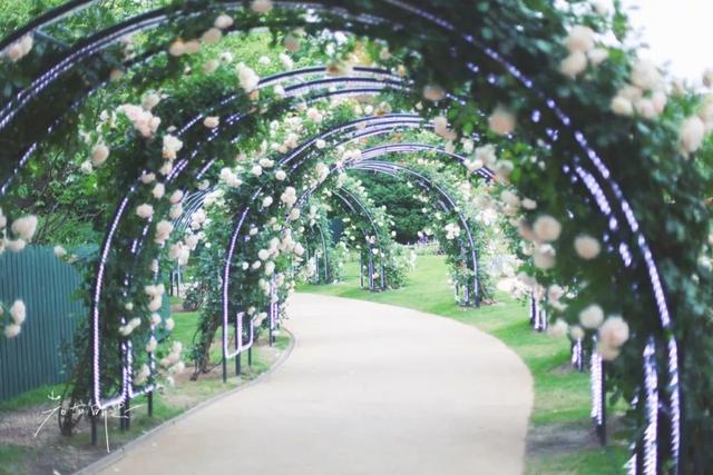 日语欢迎光临怎么说，日语餐厅服务员用语大全（日本的这个地方）