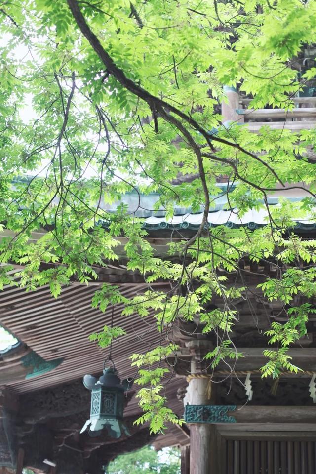 日语欢迎光临怎么说，日语餐厅服务员用语大全（日本的这个地方）