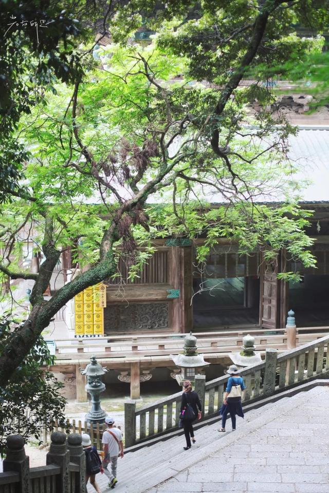 日语欢迎光临怎么说，日语餐厅服务员用语大全（日本的这个地方）