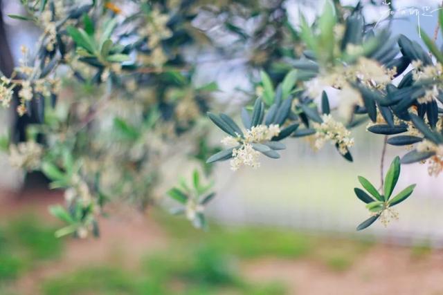 日语欢迎光临怎么说，日语餐厅服务员用语大全（日本的这个地方）