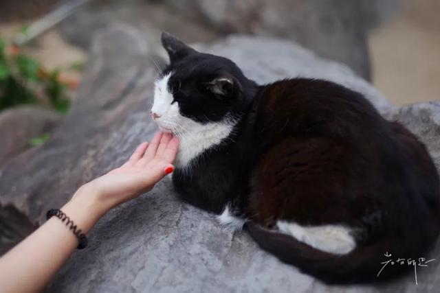 日语欢迎光临怎么说，日语餐厅服务员用语大全（日本的这个地方）