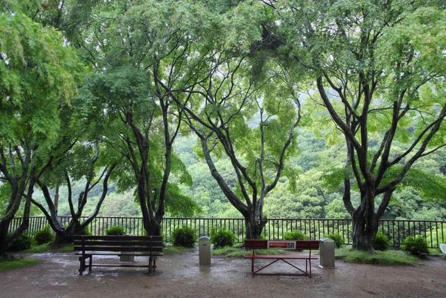 日语欢迎光临怎么说，日语餐厅服务员用语大全（日本的这个地方）