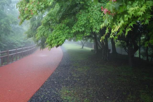 日语欢迎光临怎么说，日语餐厅服务员用语大全（日本的这个地方）