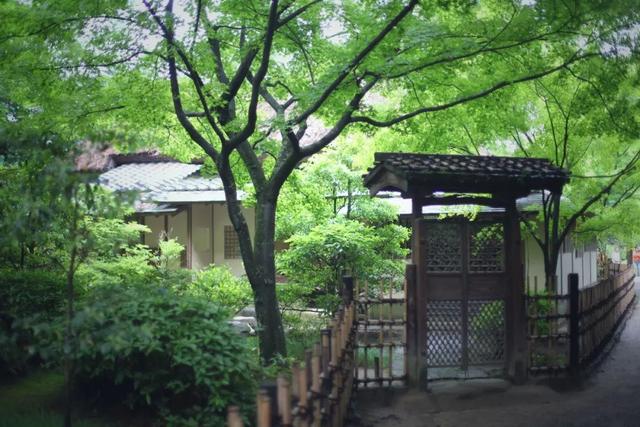 日语欢迎光临怎么说，日语餐厅服务员用语大全（日本的这个地方）