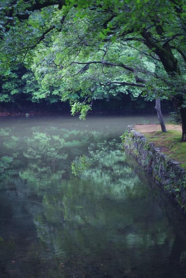 日语欢迎光临怎么说，日语餐厅服务员用语大全（日本的这个地方）