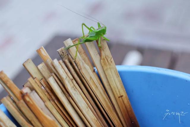 日语欢迎光临怎么说，日语餐厅服务员用语大全（日本的这个地方）