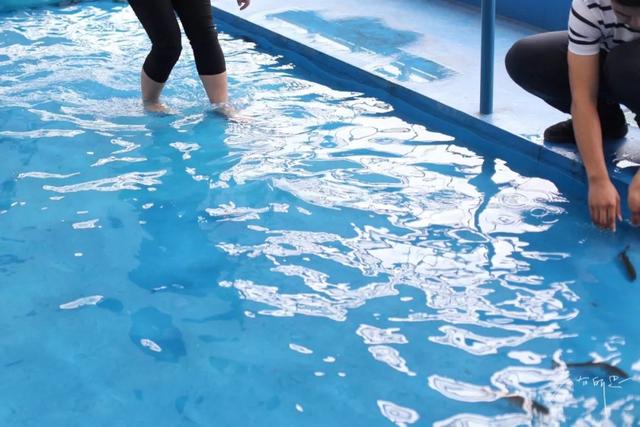 日语欢迎光临怎么说，日语餐厅服务员用语大全（日本的这个地方）