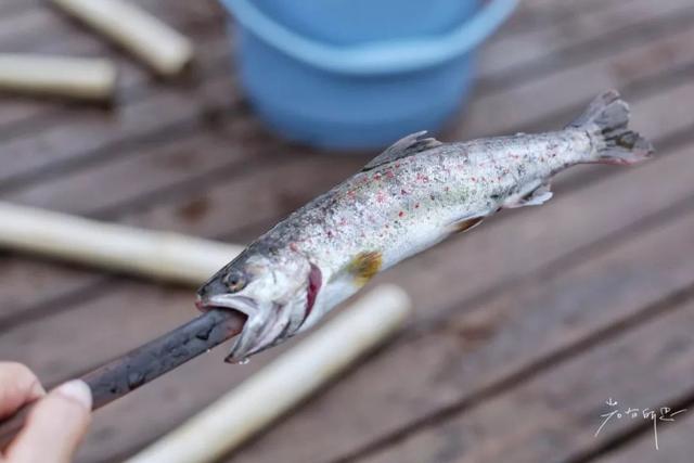 日语欢迎光临怎么说，日语餐厅服务员用语大全（日本的这个地方）