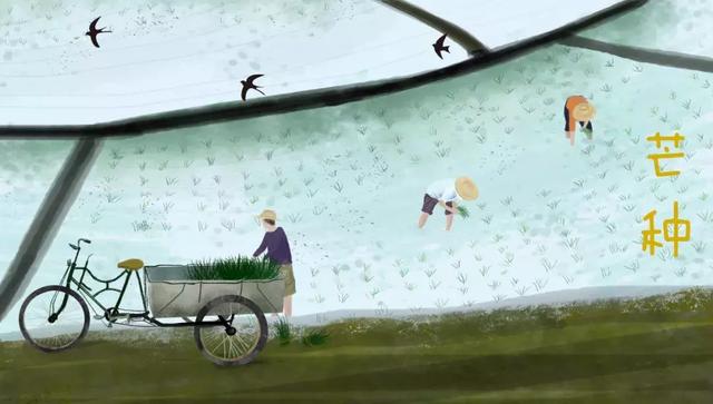 青草池塘处处蛙，十首芒种诗词：黄梅时节家家雨