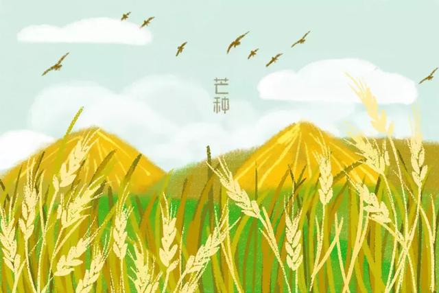 青草池塘处处蛙，十首芒种诗词：黄梅时节家家雨