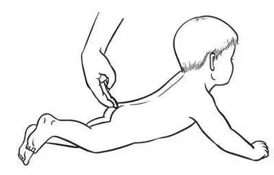 尾椎长痣是什么意思(尾指长痣是什么意思) - 珍缘易学