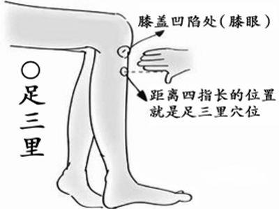 指压是什么，泰式指压是什么（揭密10大黄金穴位）