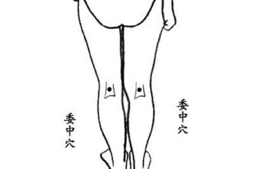 指压是什么，泰式指压是什么（揭密10大黄金穴位）