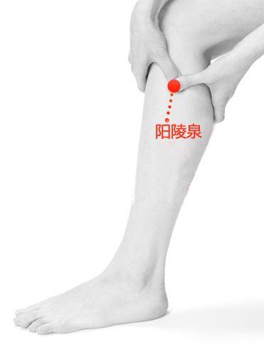 指压是什么，泰式指压是什么（揭密10大黄金穴位）