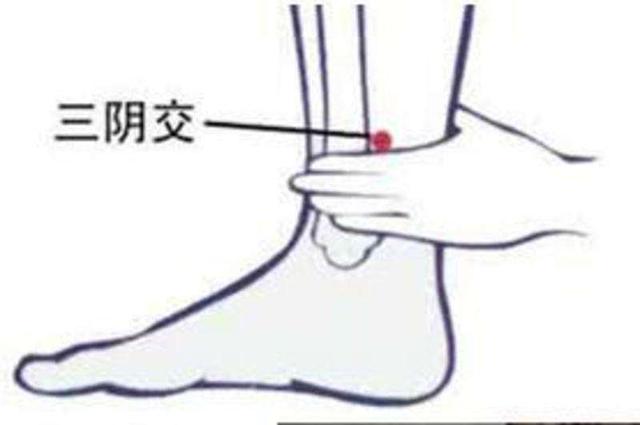 指压是什么，泰式指压是什么（揭密10大黄金穴位）