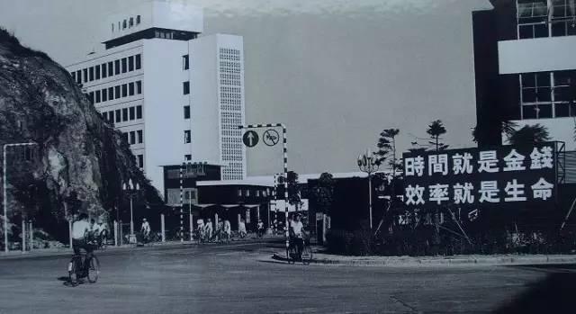 冯小刚徐帆，冯小刚徐帆电视剧（冯小刚2个月赚了10个亿）