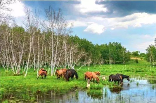 偏远地区不包邮指的是哪些地区，不包邮的六个偏远地区（盘点外地游客眼中锡林郭勒6大误区）