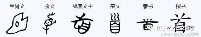 道字有什么意思，道字的真正含义（说文解字：道）
