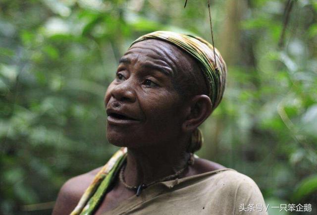 世界上活得最短的人，活的最短的人是谁（世界上寿命最短的人种）