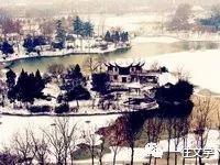 清风半夜鸣蝉的上一句，清风半夜鸣蝉的上一句诗句是什么（Vol.176.《西江月》）