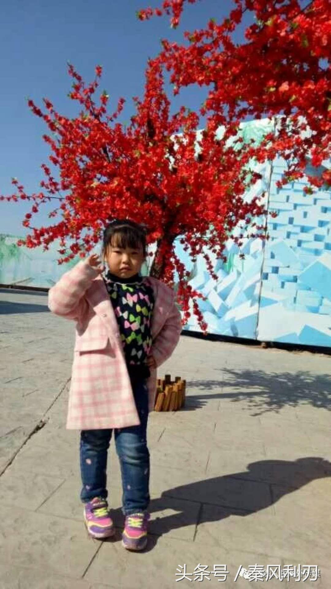 大荔城关中学贴吧（走进大荔教育）