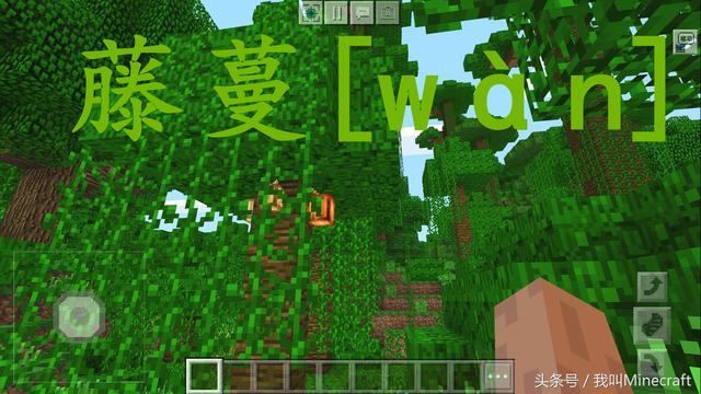 我的世界发酵的蜘蛛眼怎么做，我的世界手机版发酵蛛眼怎么获得（《我的世界》最容易“读错”的20个字）