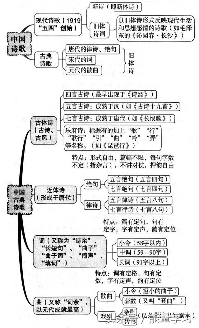 关于诗歌的知识，关于诗歌的知识有哪些（诗歌鉴赏知识点基本涵盖）