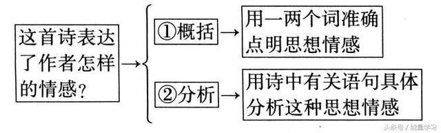 关于诗歌的知识，关于诗歌的知识有哪些（诗歌鉴赏知识点基本涵盖）