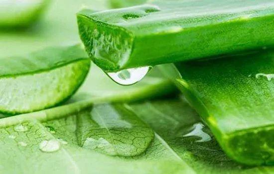 内裤夹档是买大了还是买小了，四岁女宝宝内裤总是夹档怎么办（半个娱乐圈的女星都在穿）