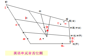 目前做什么餐饮最有前景，餐饮什么行业前景好（英语语音简易读本——前元音）