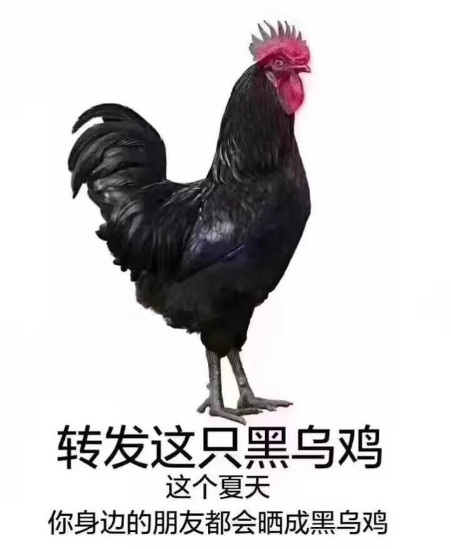 安耐晒防晒霜怎么辨别是否为正品，资生堂安耐晒防晒霜真假怎样鉴别（安耐晒2018最新版真假辨别）