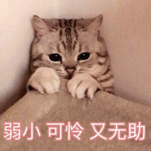 江苏徐州穷吗(为什么不惹徐州人)