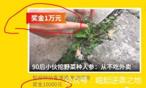 一条视频赚10000元！另辟蹊径的短视频赚钱之路