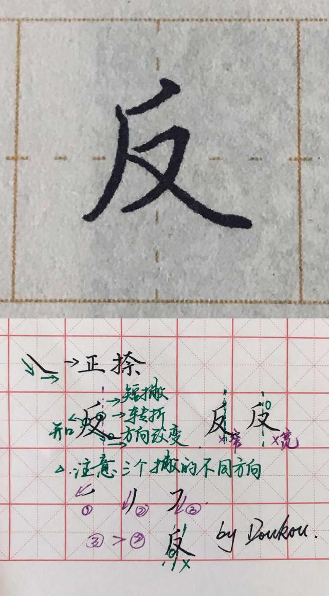 蔻怎么读，蔻怎么读组词（每日拆解一个字）