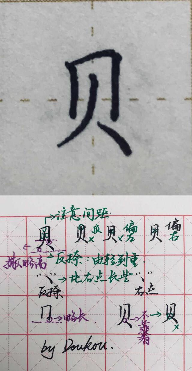 蔻怎么读，蔻怎么读组词（每日拆解一个字）