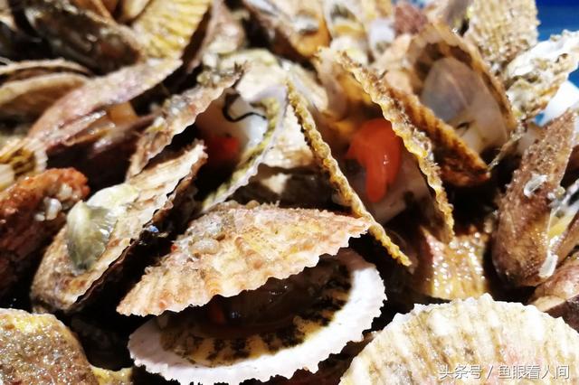 干鲍鱼价格多少钱一斤，鲍鱼多少钱一斤市场价2021（休渔期贝类海鲜丰富多彩）