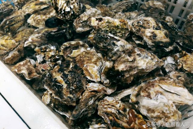 干鲍鱼价格多少钱一斤，鲍鱼多少钱一斤市场价2021（休渔期贝类海鲜丰富多彩）