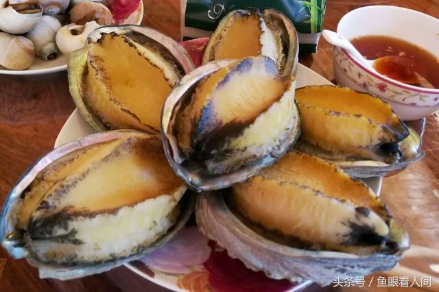 干鲍鱼价格多少钱一斤，鲍鱼多少钱一斤市场价2021（休渔期贝类海鲜丰富多彩）