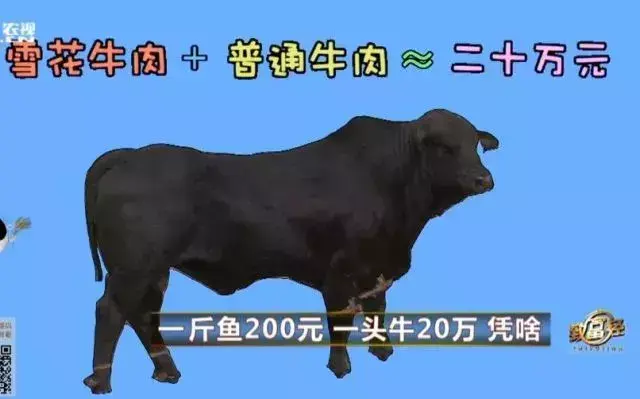 牛肉多少一斤()