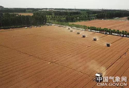 三夏指的是什么，什么是三夏（这些天气需注意……）