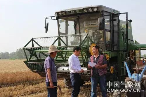 三夏指的是什么，什么是三夏（这些天气需注意……）